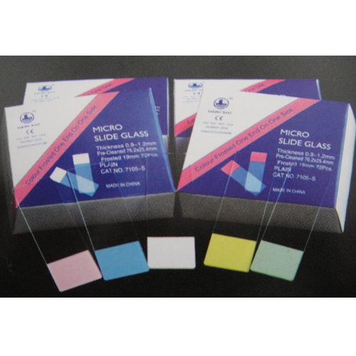 Microscope Slide